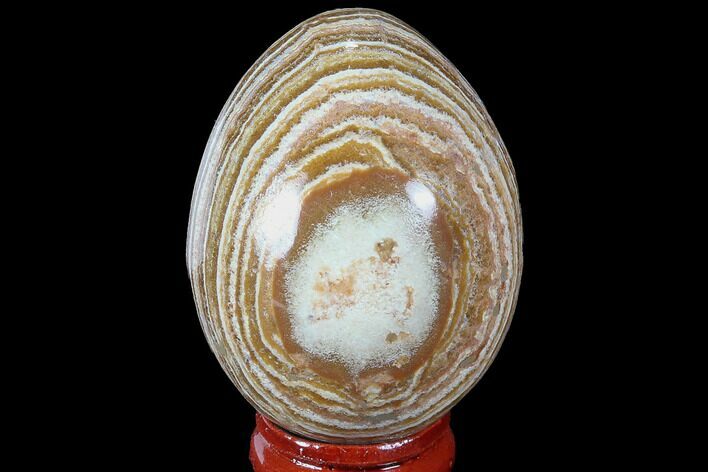 Polished, Banded Aragonite Egg - Morocco #98421